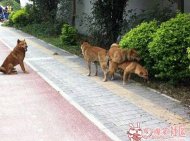 ���������Ƿ��� 