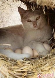 �����˰��Լ�������һ 