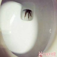 зһֻ 