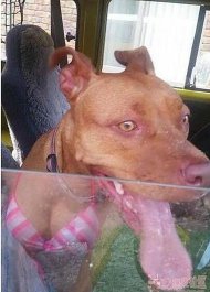 几种奇葩食物我也是醉