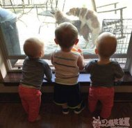 ����С���Ӹ�ЦͼƬ̫ 