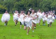 һ�ܸ���ͼƬ��Ϯ�Դ� 