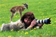 人和动物和睦相处画面摄影师的高境界