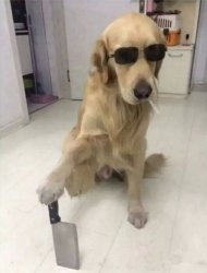 ��Ƥ����ͼƬ���￸�� 