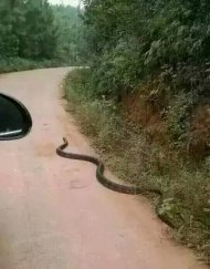 ��˼����Ķ���ͼƬ�� 