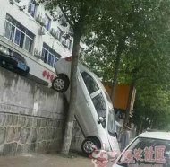 ���ַ�����˼�ĳ����� 