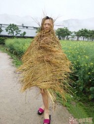 ���뾲��,���ᷢ��,�� 