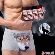  �ں�Ȥͼ,���ڿ㵰�� 