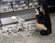  ����������ü,������ 