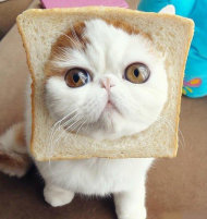 ��ЦͼƬ�������ϵ��� 