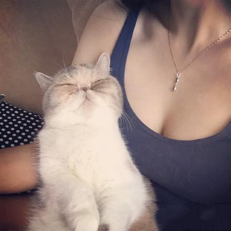 搞笑图片:感觉自己活