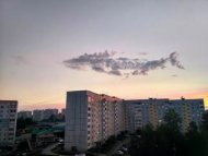 Ȥͼ,һֻ 