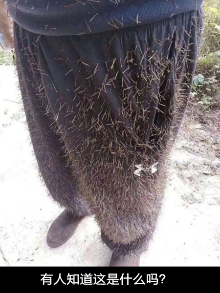 ��ЦͼƬ�����ҸҴ�� 