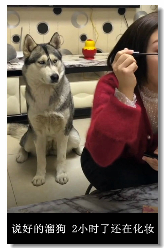 ��ЦͼƬ��������˵�� 