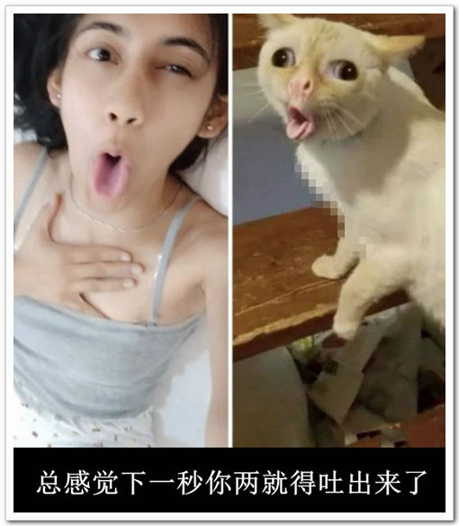 ��Цͼ��������һ���� 