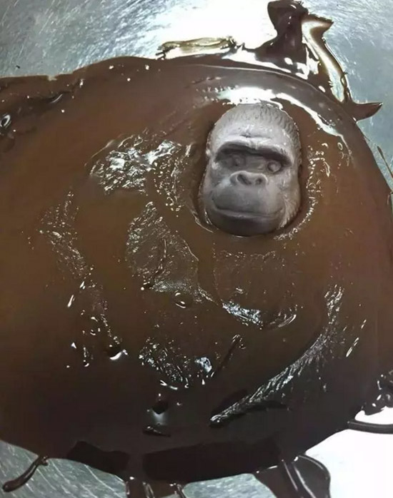 新买的猩猩巧克力，天太热，不小心化掉后。