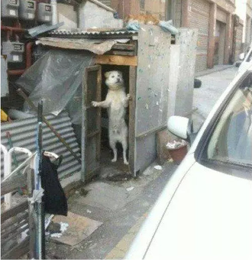 ιι㣬Ҽſͣ쿪
